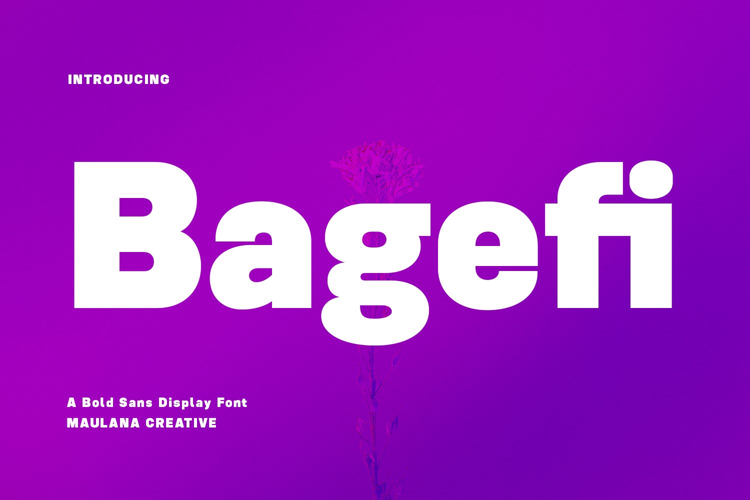 Bagefi Sans Serif Display Font cover image.