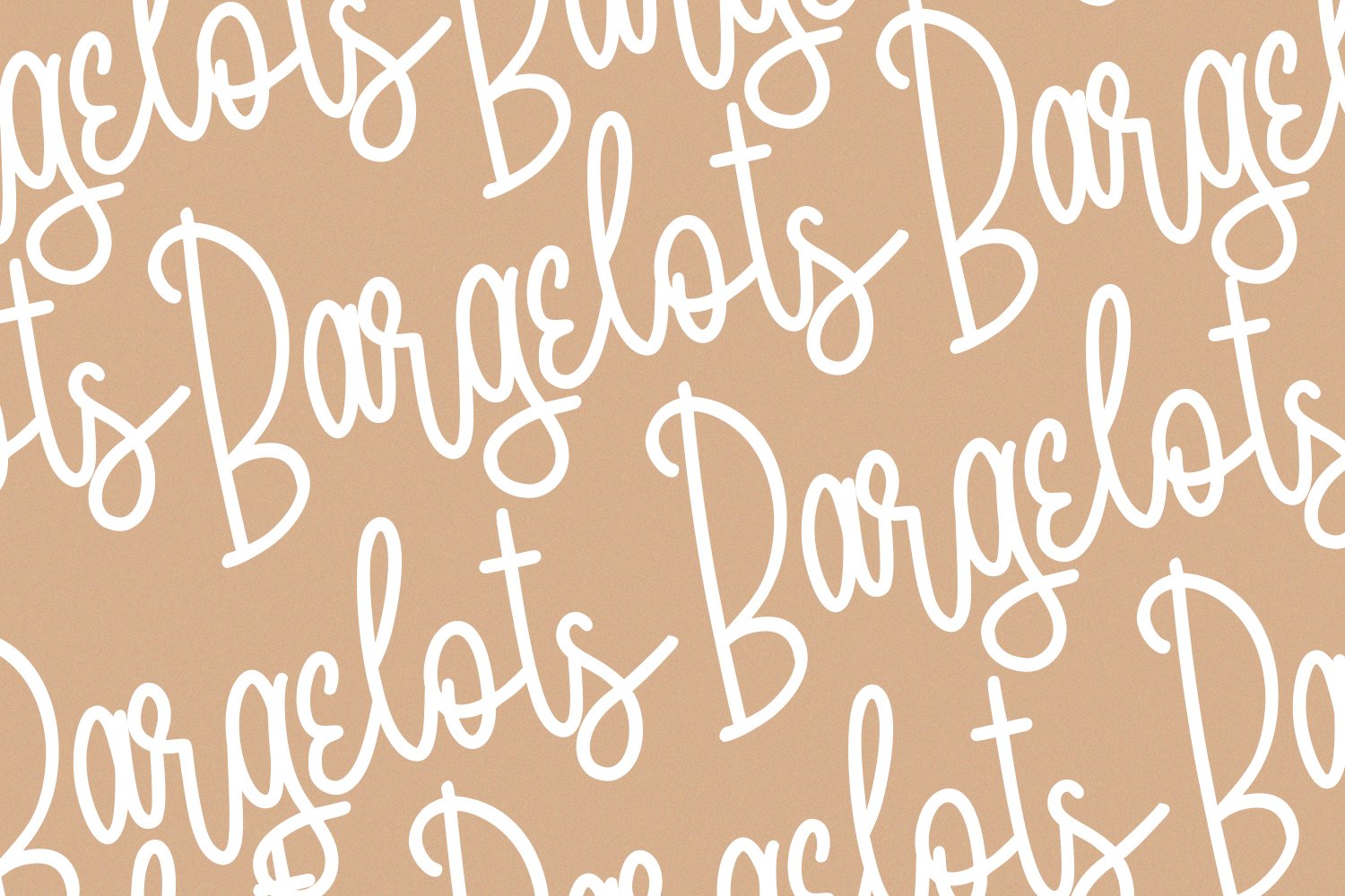 Bagelorts Handwritten Script Font preview image.