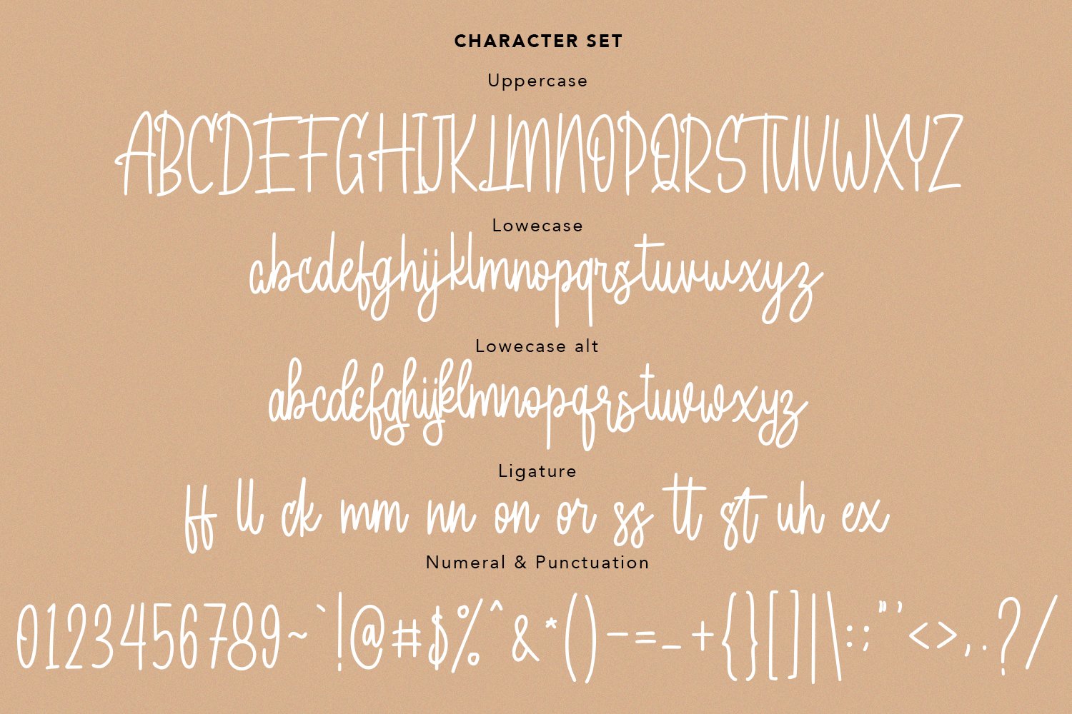 bagelorts handwritten script font 9 173