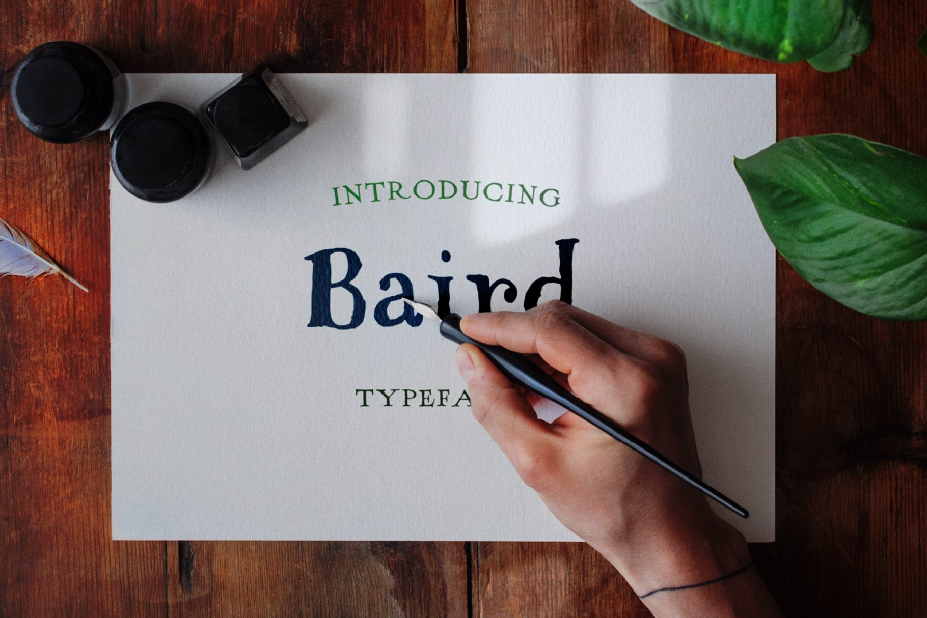 Baird - Hand Serif Font cover image.