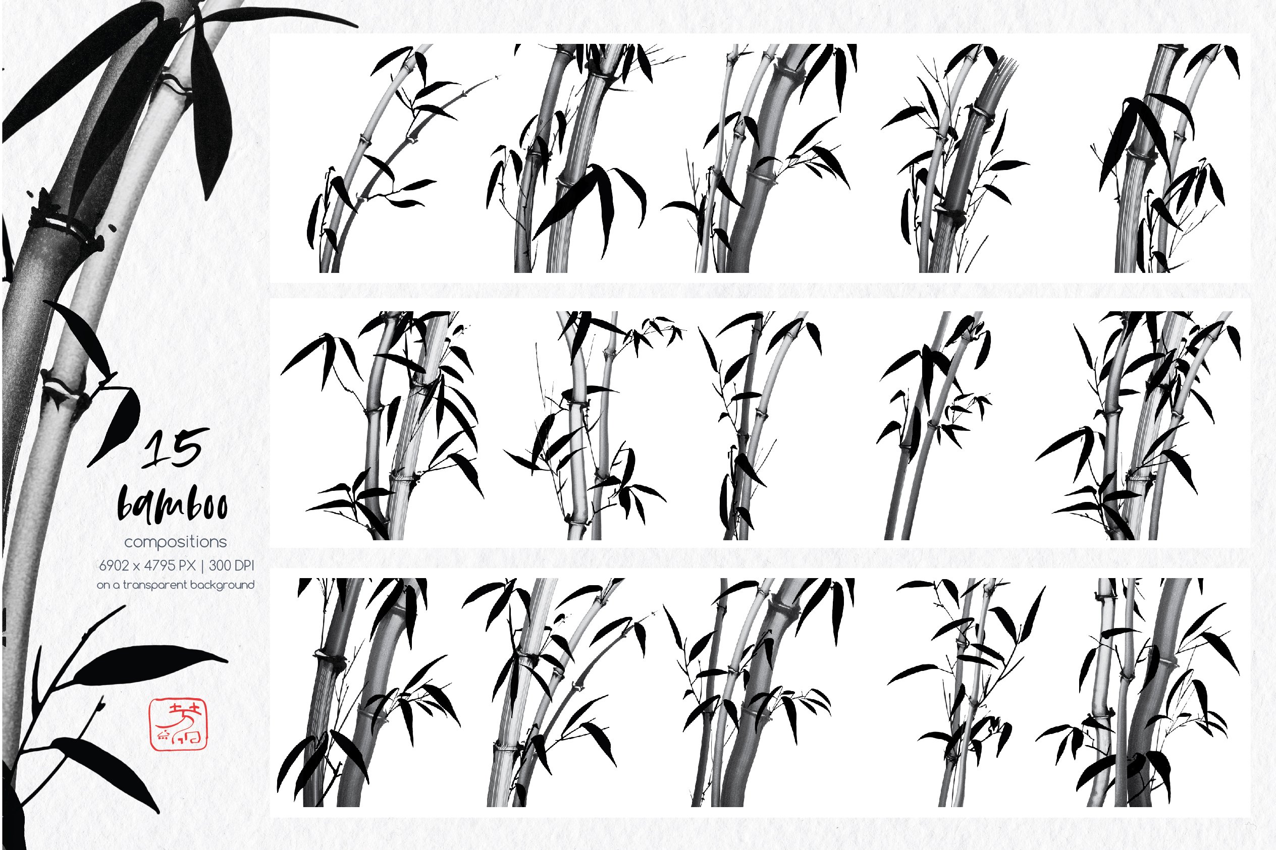 Drawing of a bamboo tree with multiple stages of growth.
