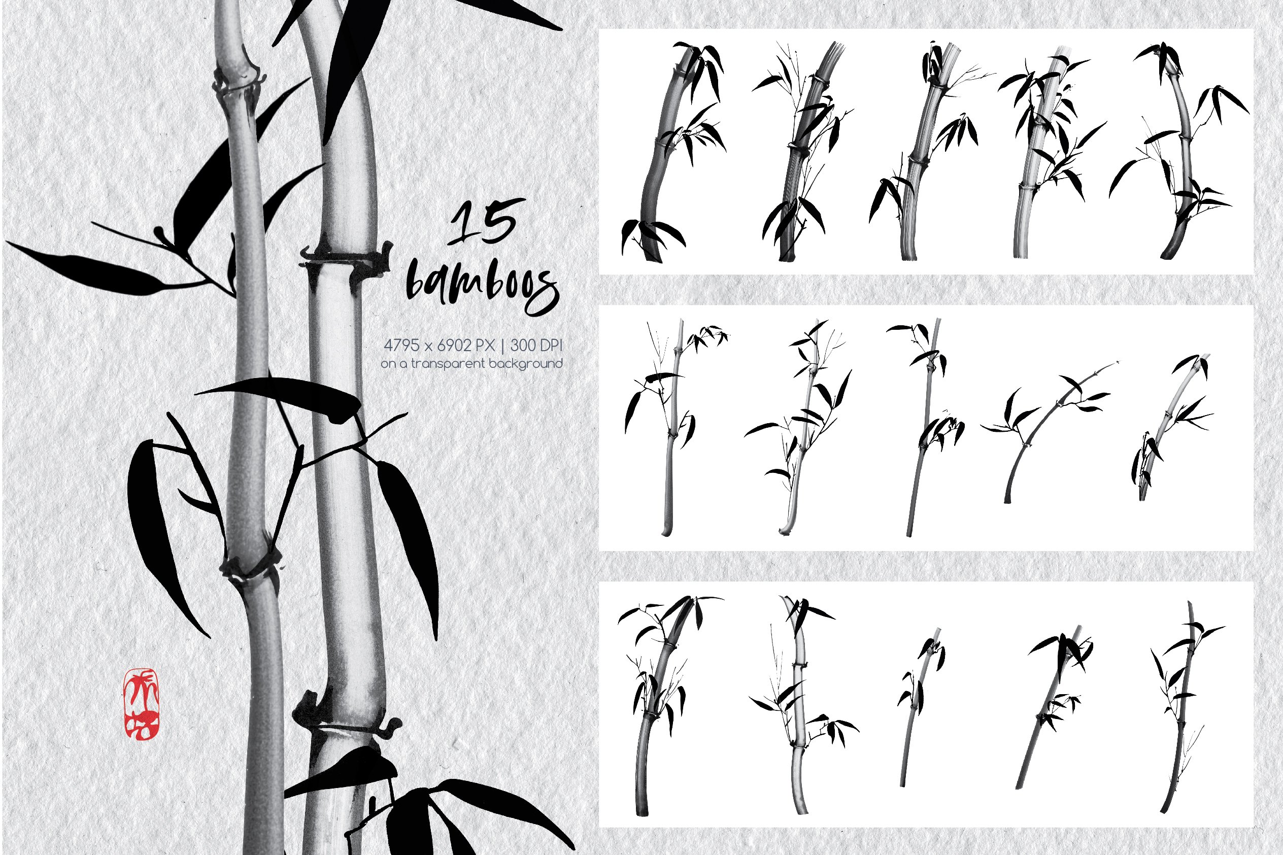 Drawing of a bamboo tree with different stages of growth.