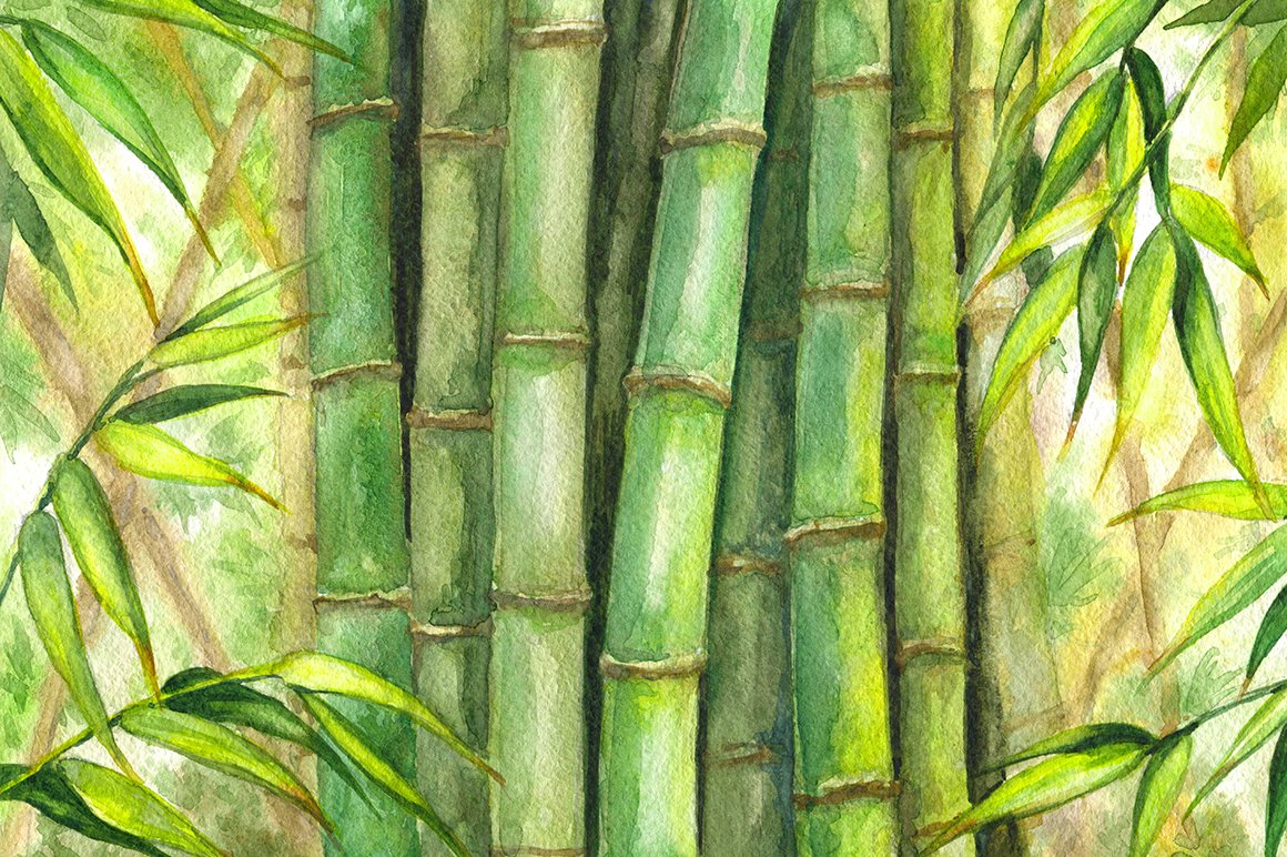 Photo of Green stems of bamboo forest