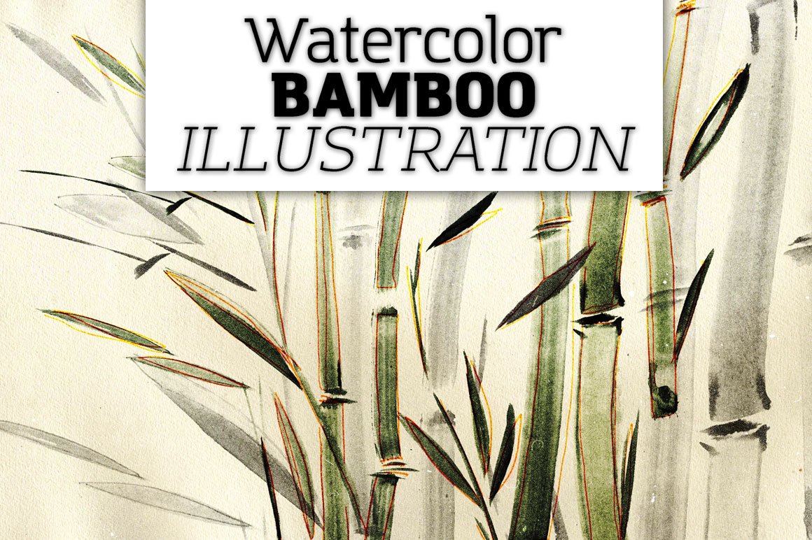 Picture of a bamboo plant with a sign that says watercolor bamboo illustration.