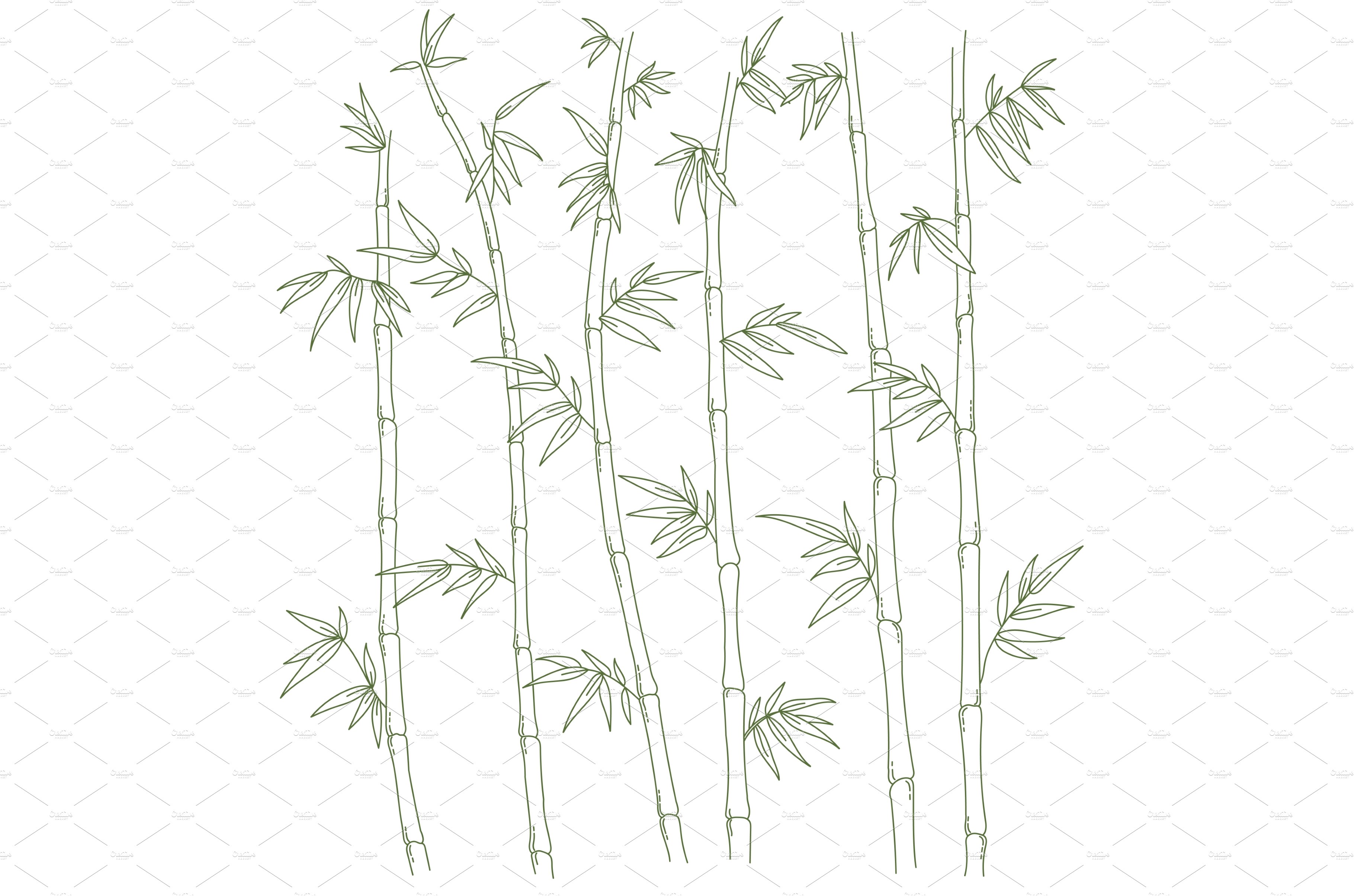 Line drawing of a bamboo tree.