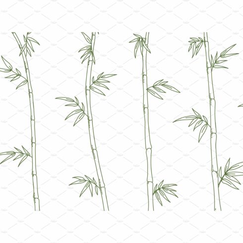 Line drawing of a bamboo plant on a white background.