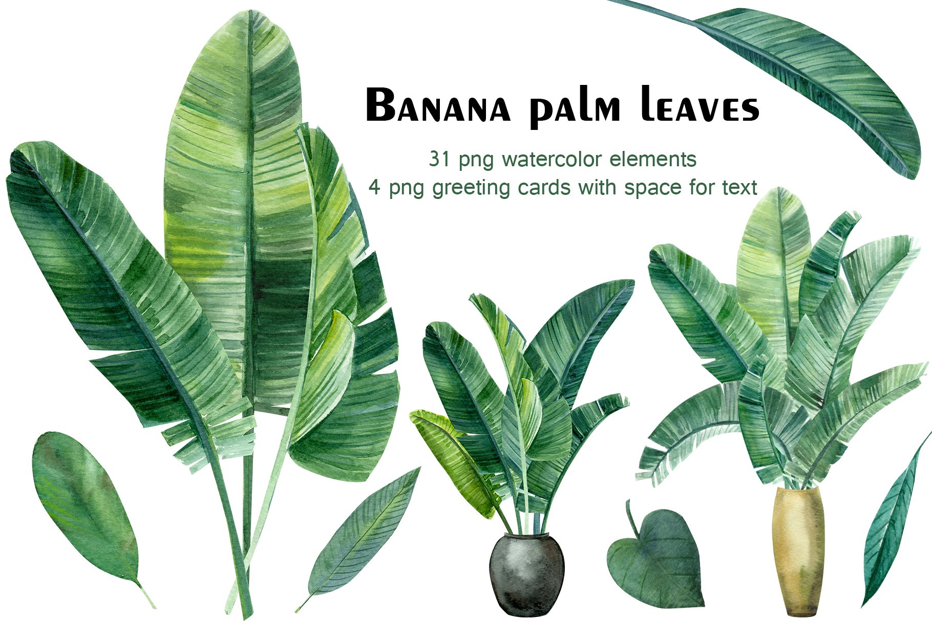 Banana palm leaves cover image.