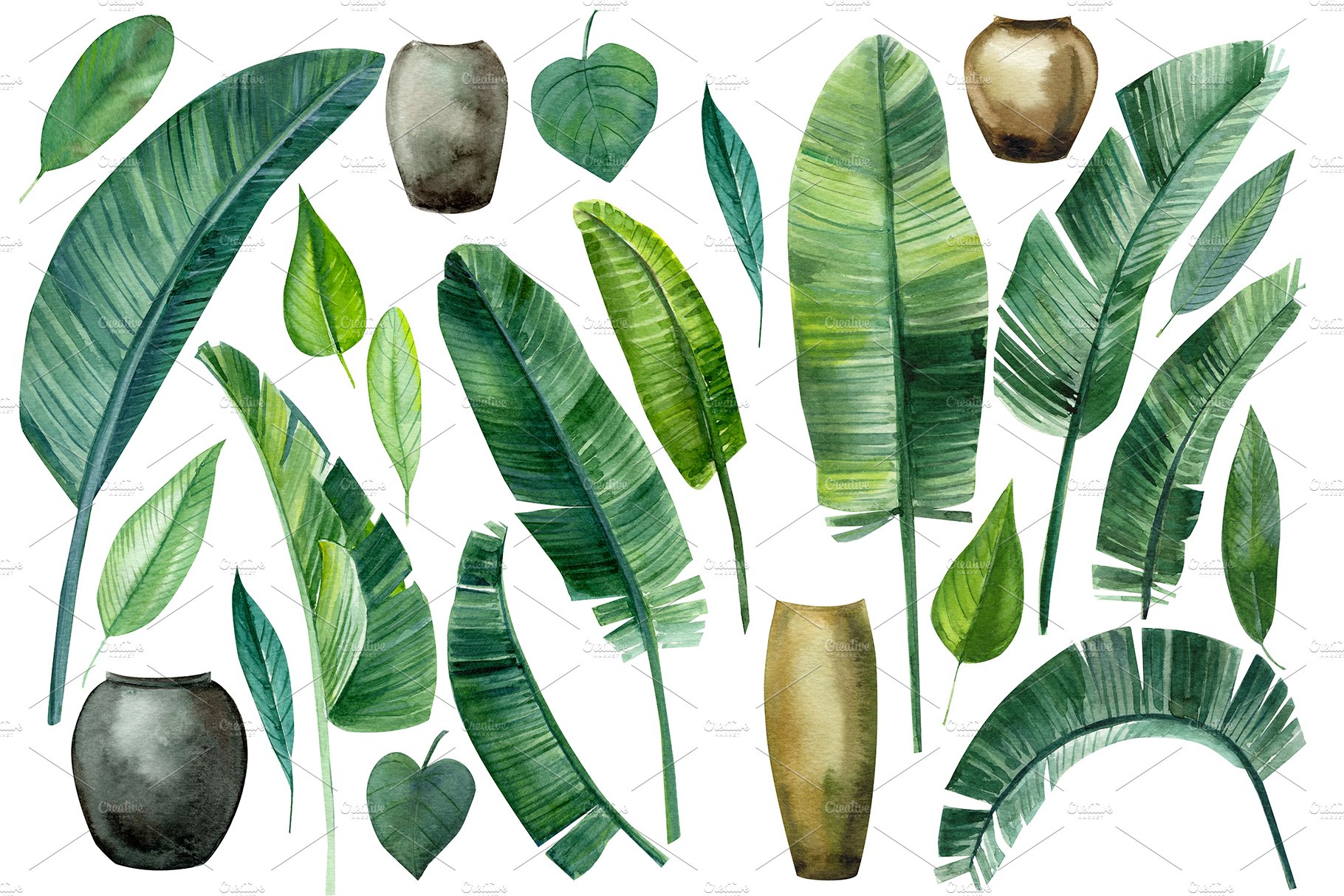 Set of watercolor tropical leaves.