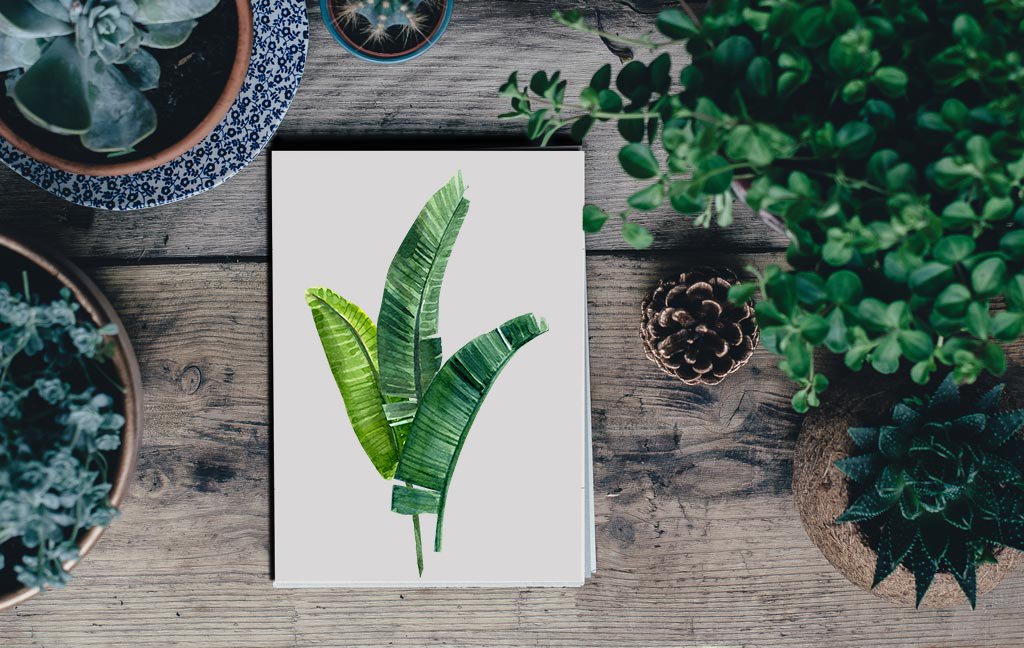 Book with a picture of a plant on top of it.