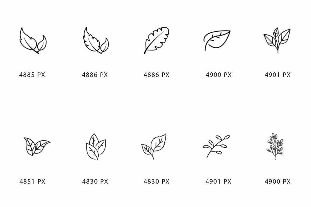30 Leaves Outline Brushes MasterBundles