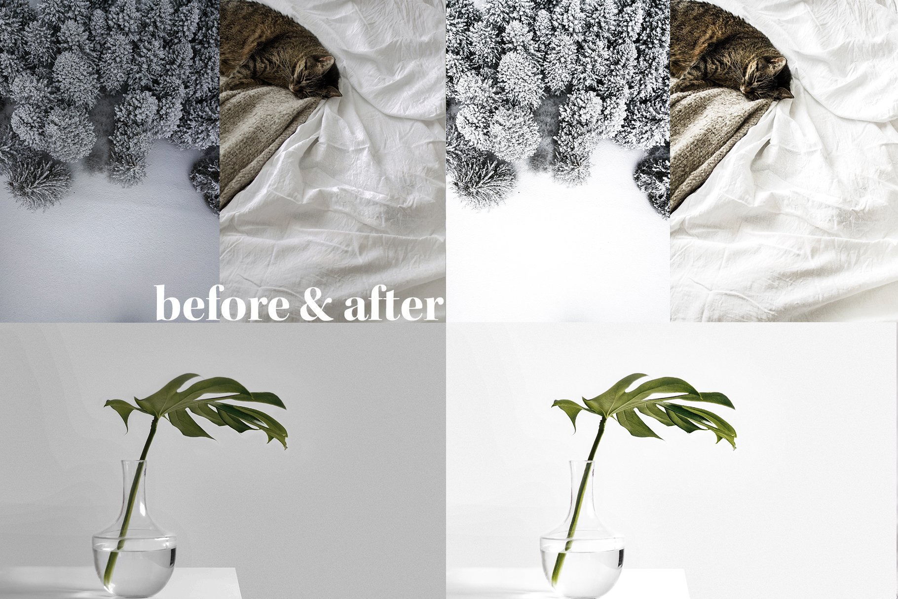 banner mobile preset before after minimal 3 221