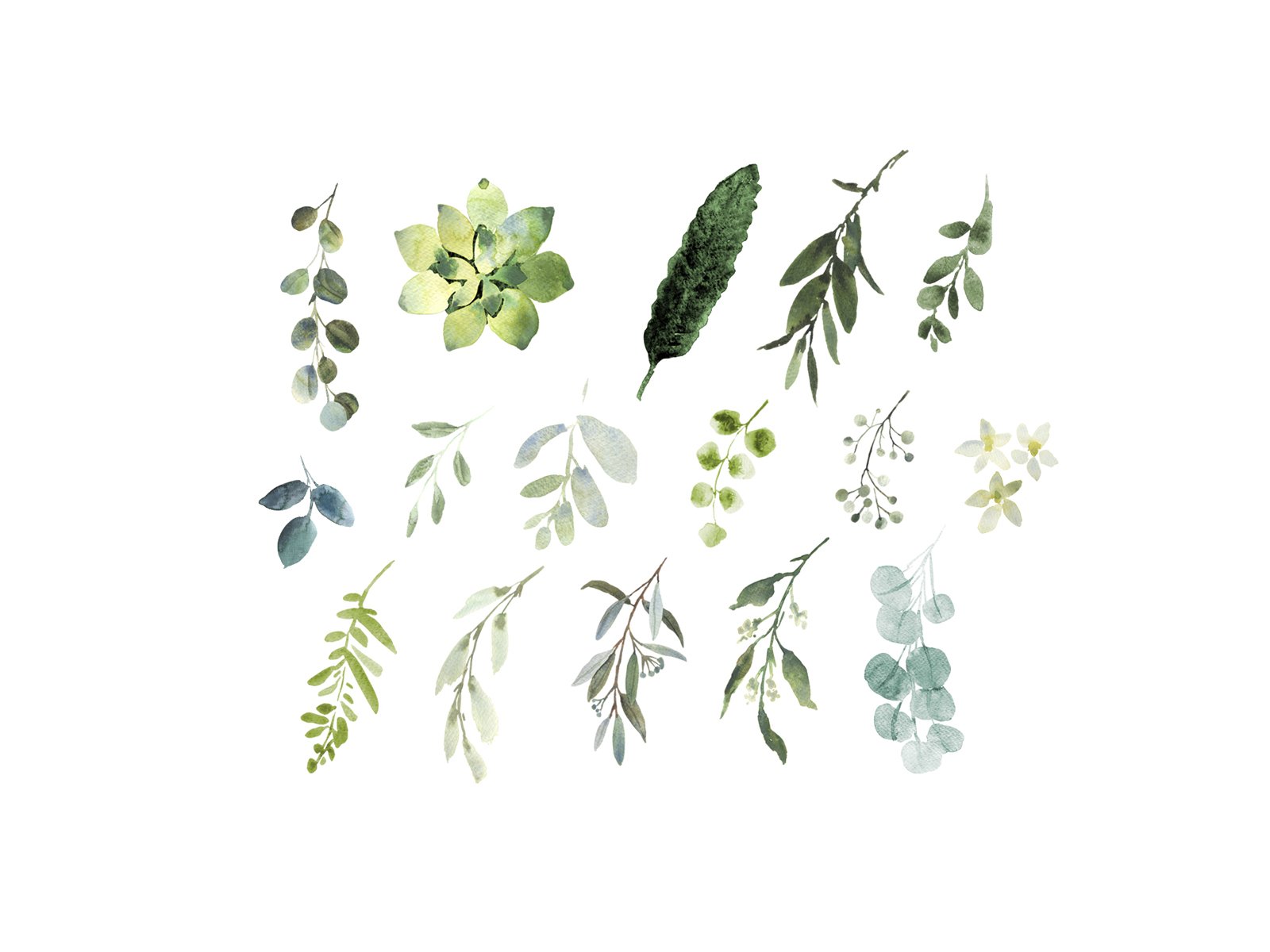 Bunch of leaves and flowers on a white background.