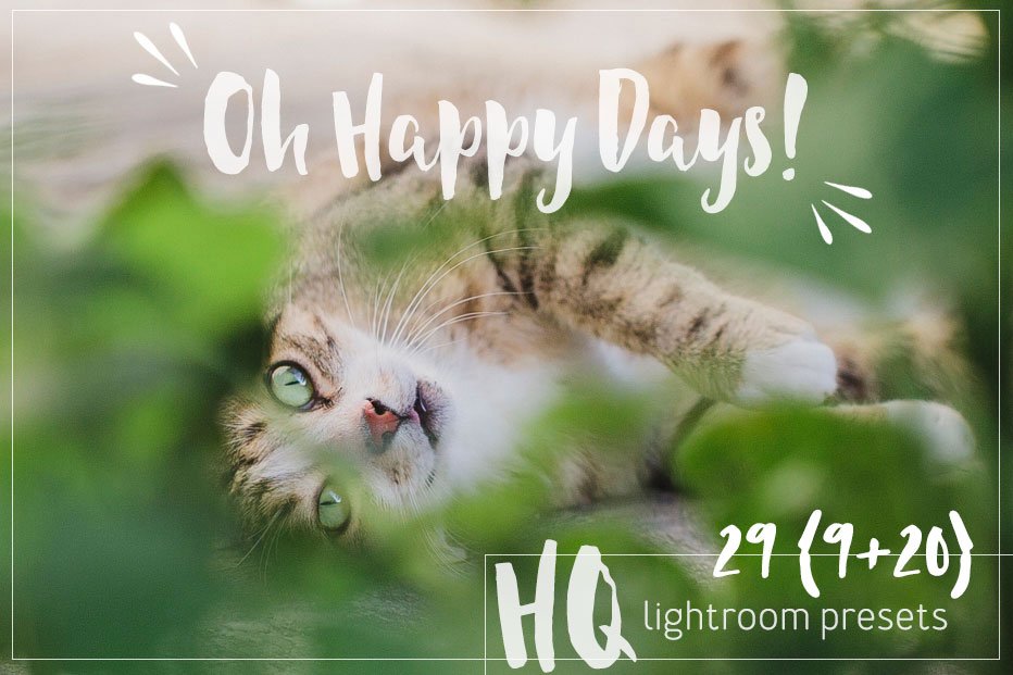 29 Lightroom Presets OH HAPPY DAYS!cover image.