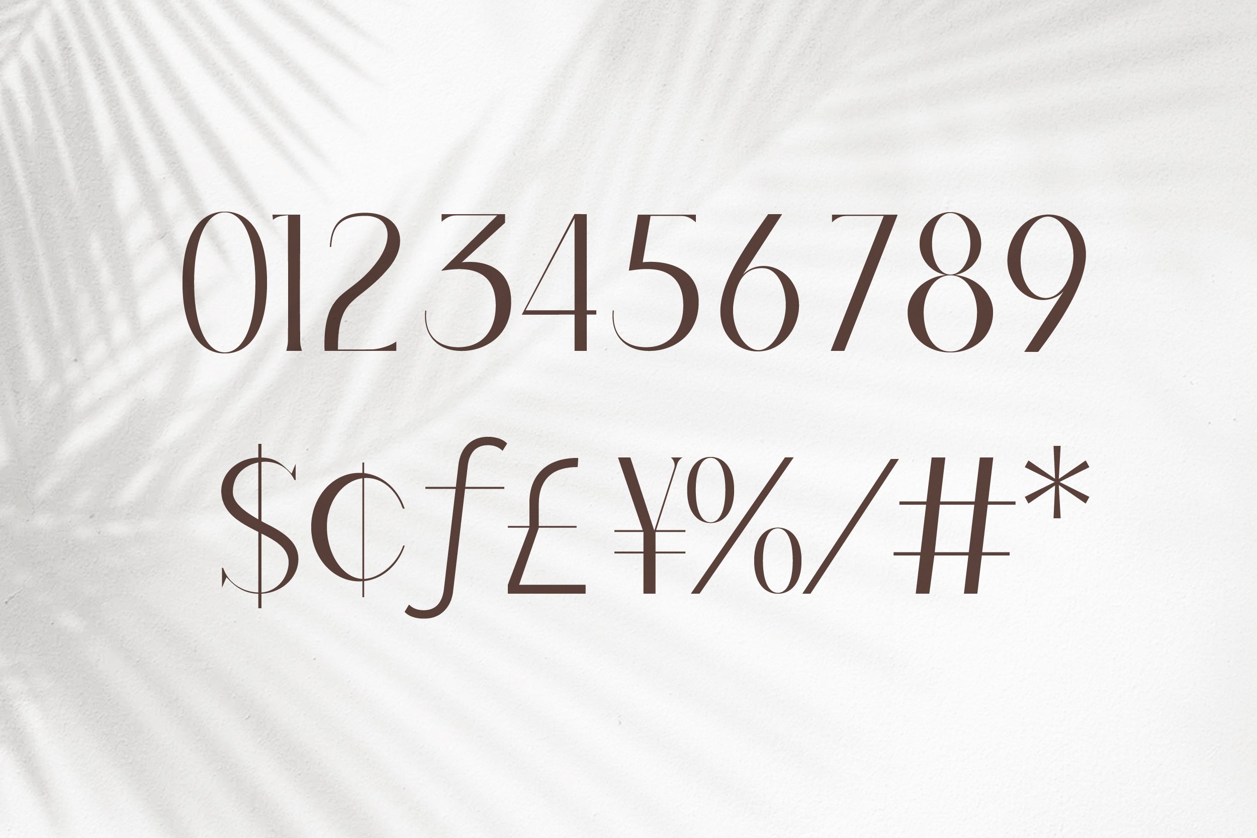 barieta elegant typeface 8 260