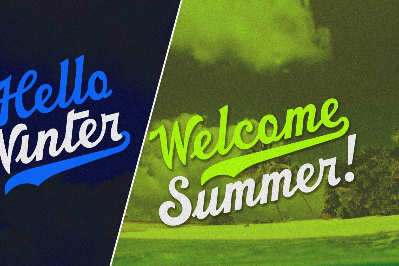 Barney Script — Cool Sports Script – MasterBundles