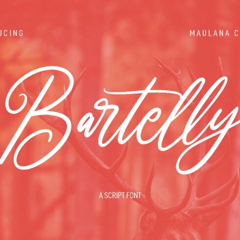 Bartelly Script Font cover image.