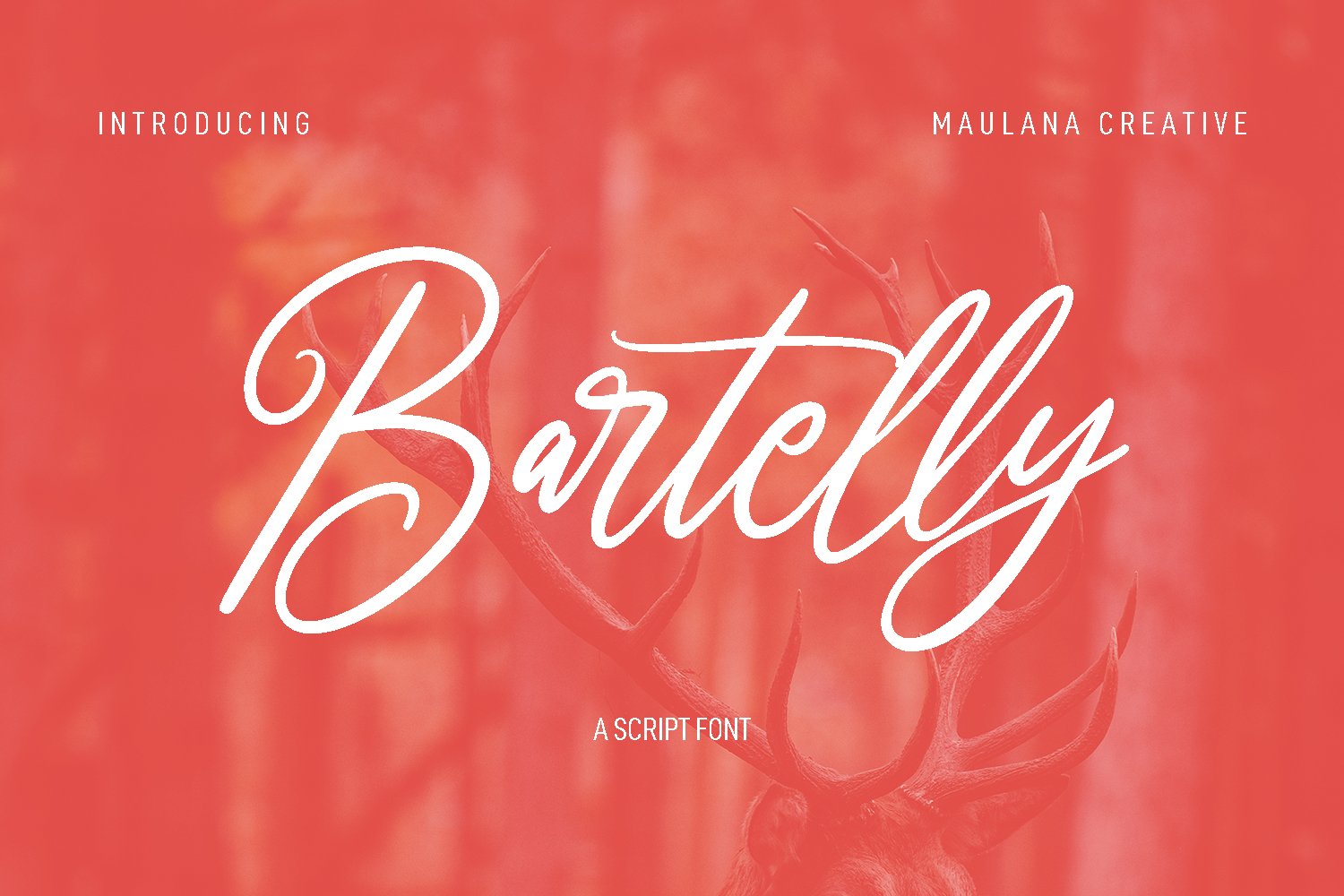 Bartelly Script Font cover image.