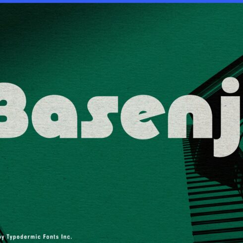 Basenji cover image.