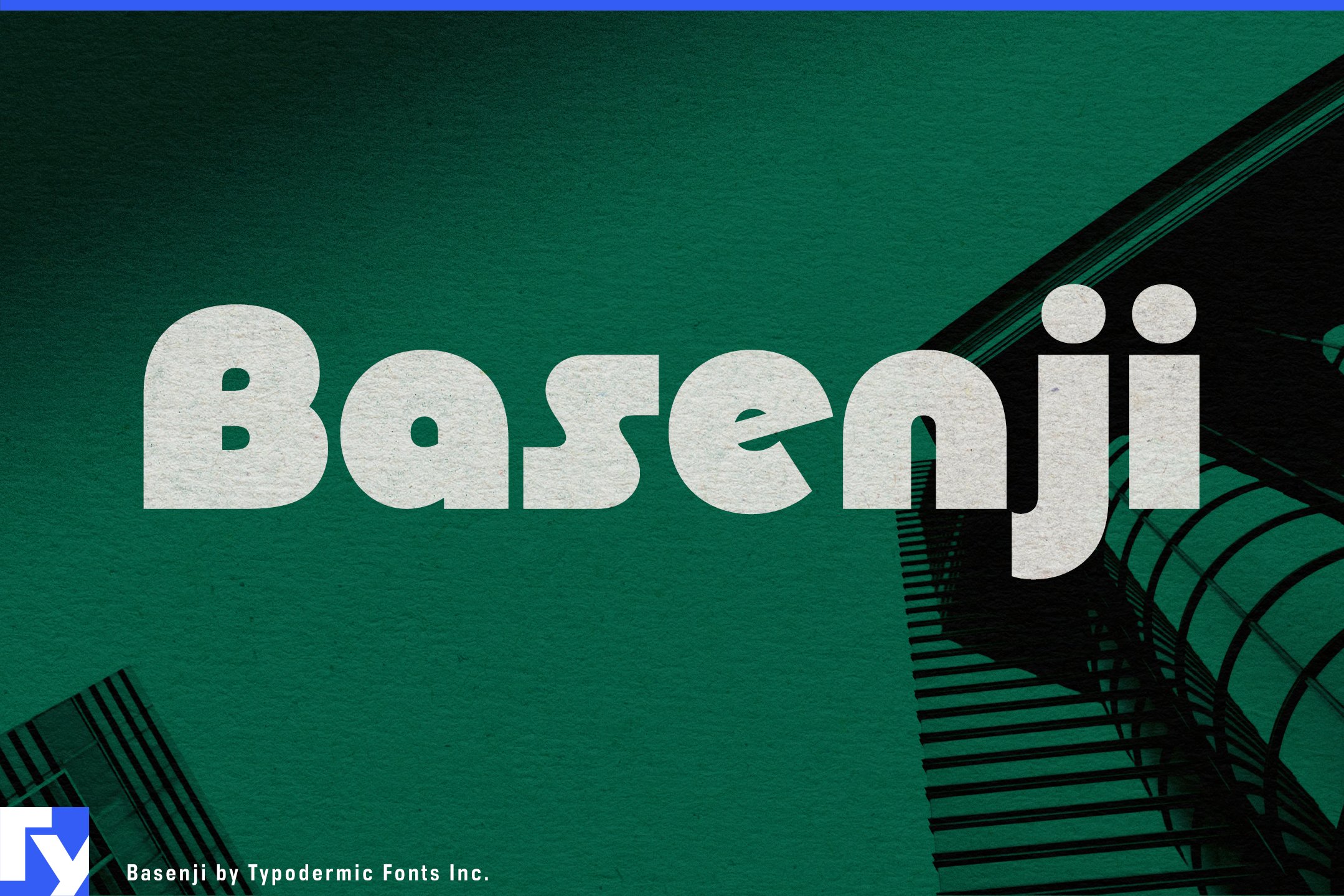 Basenji cover image.