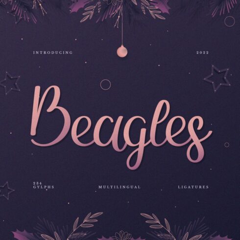 Beagles Script Handwriting cover image.