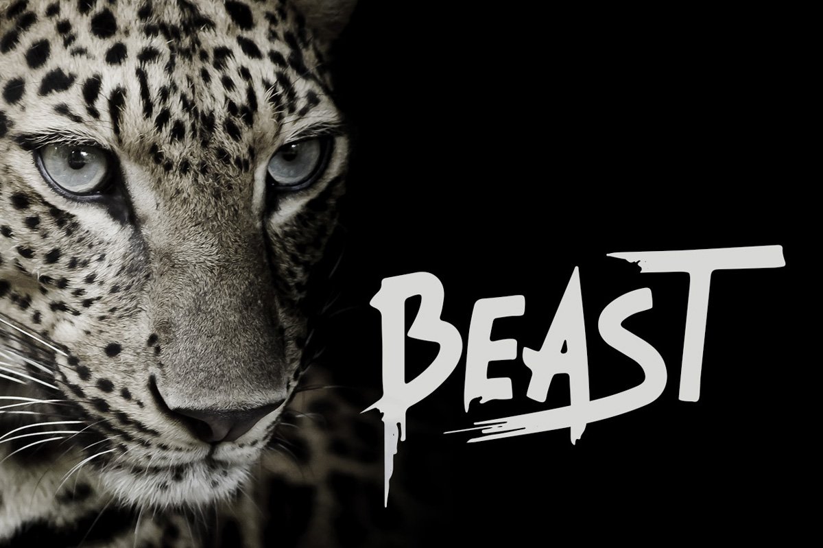 Beast - Brush Font cover image.