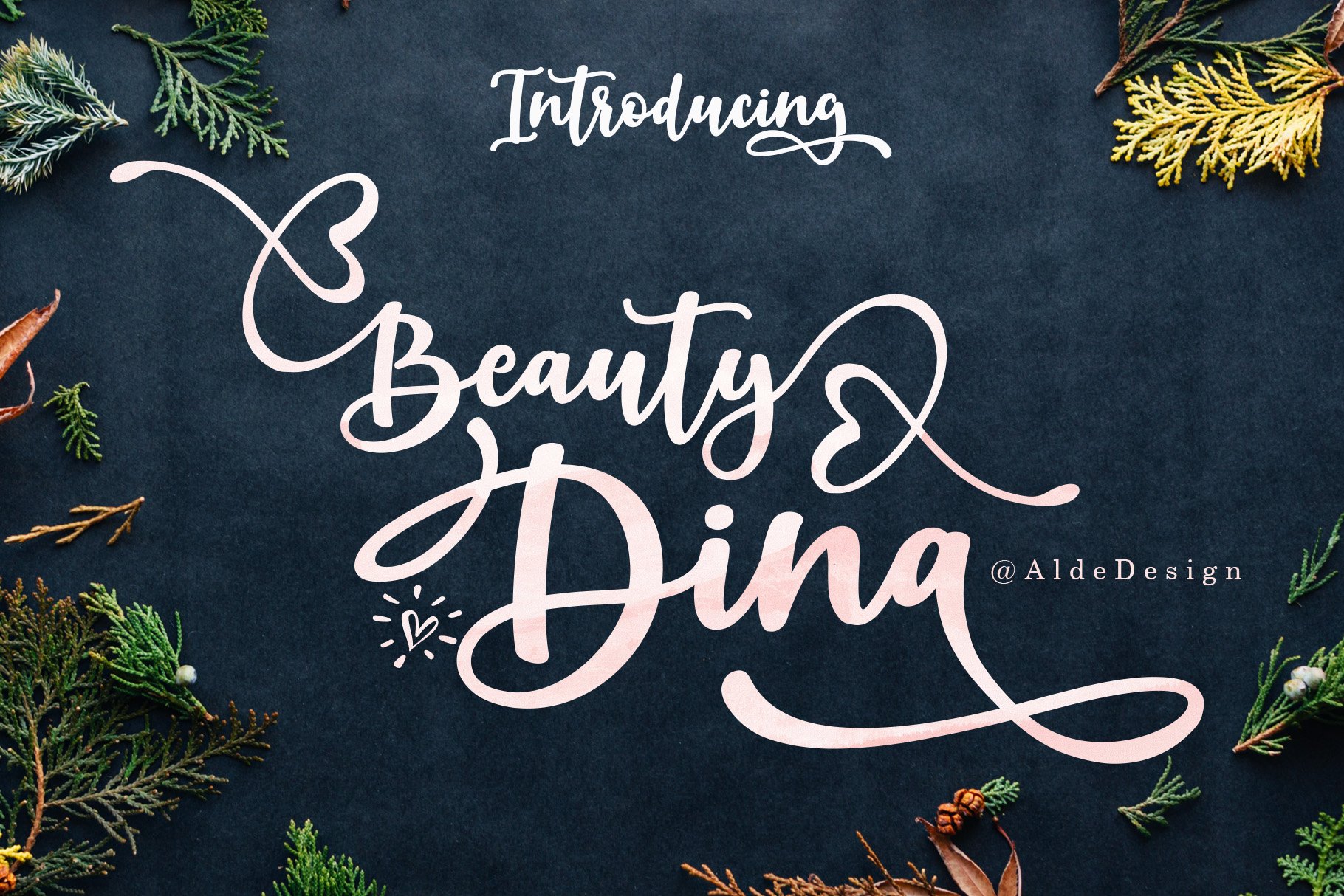 Beauty Dina cover image.