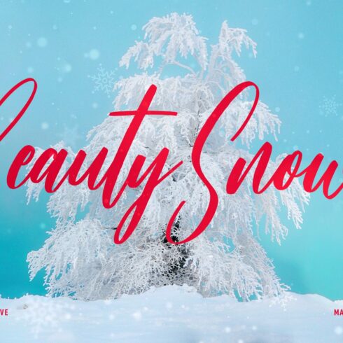 Beauty Snowy Script Font cover image.