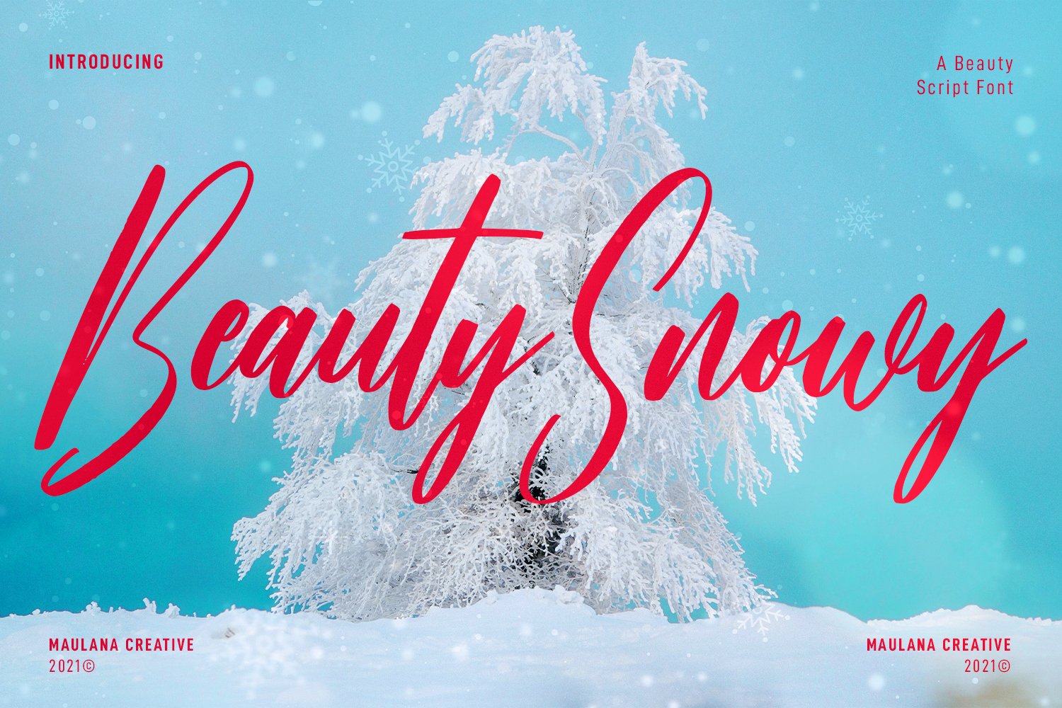 Beauty Snowy Script Font cover image.