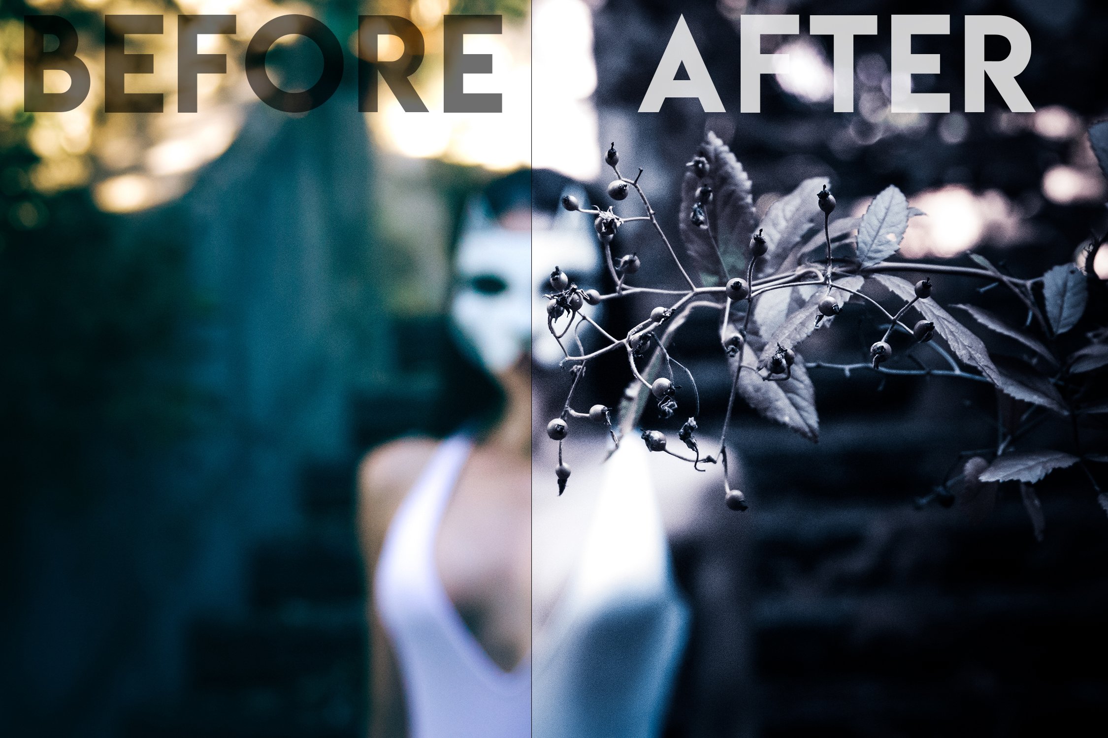 beforeandafterblackcat4 89