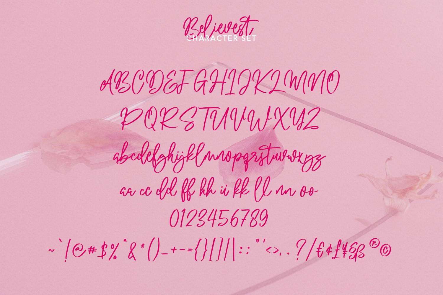 believest script font08 621