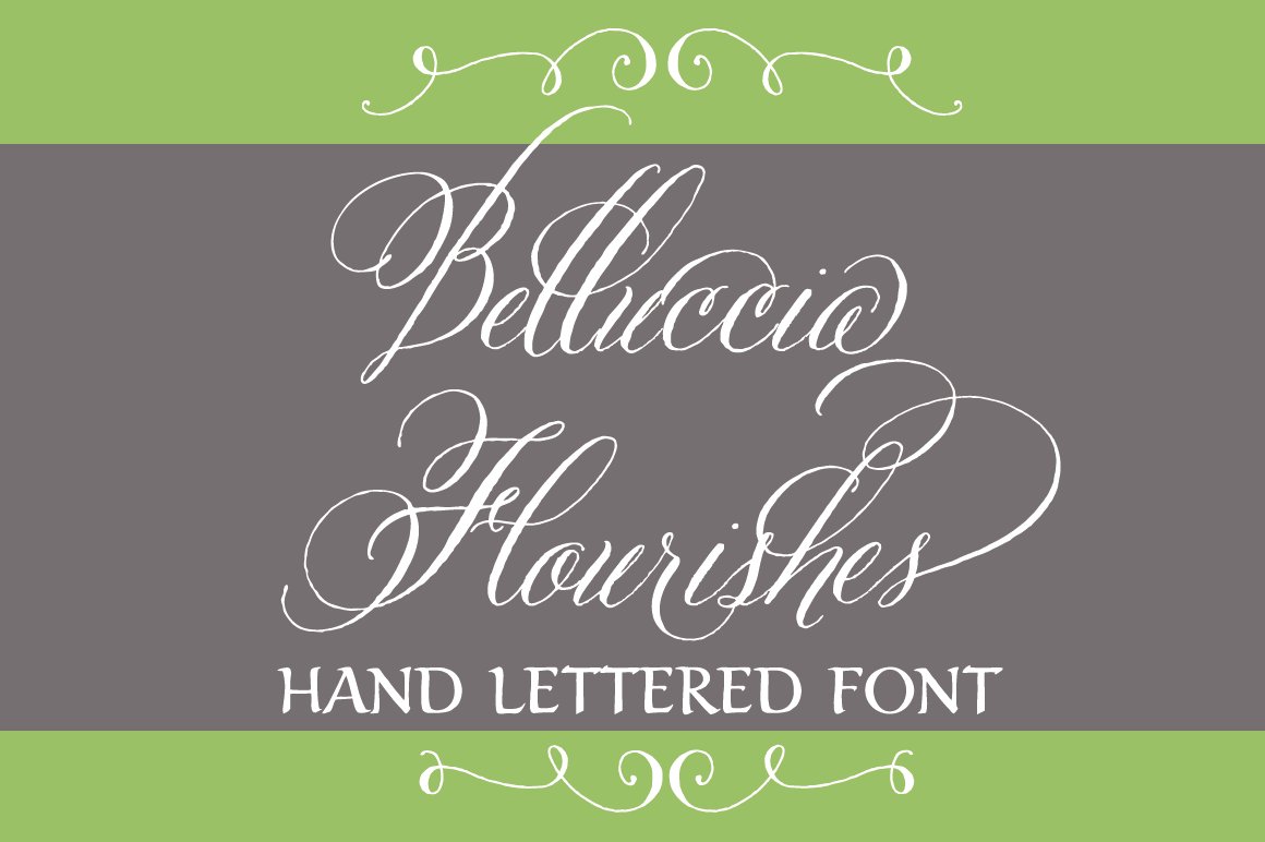 Belluccia Hand Drawn Flourishes preview image.