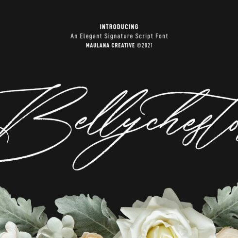 Bellychestor Elegant Signature cover image.