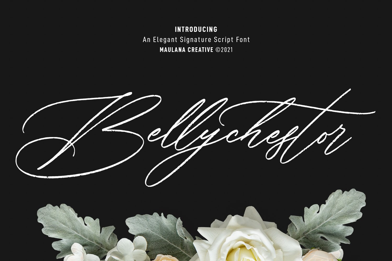 Bellychestor Elegant Signature cover image.