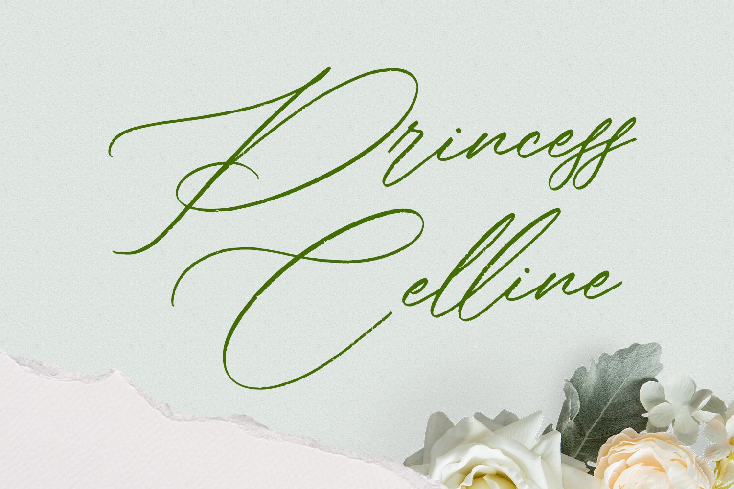 bellychestor elegant signature script font 5 843