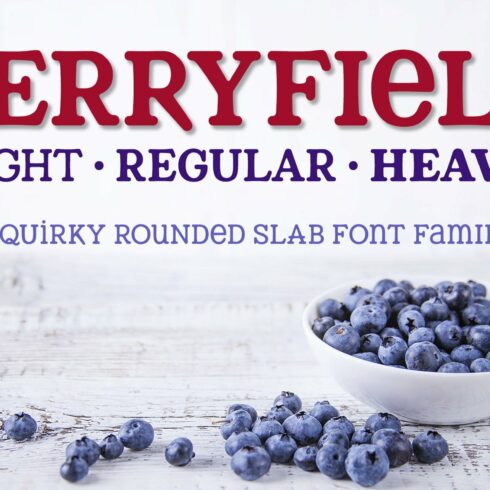 Berryfield: a quirky slab family! cover image.