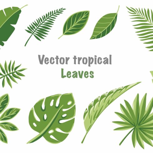 Collection of tropical leaves on a white background.