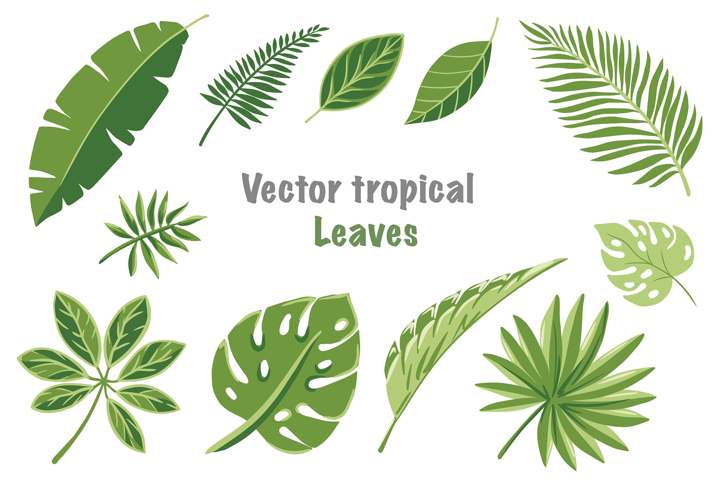 Green tropical leaves – MasterBundles