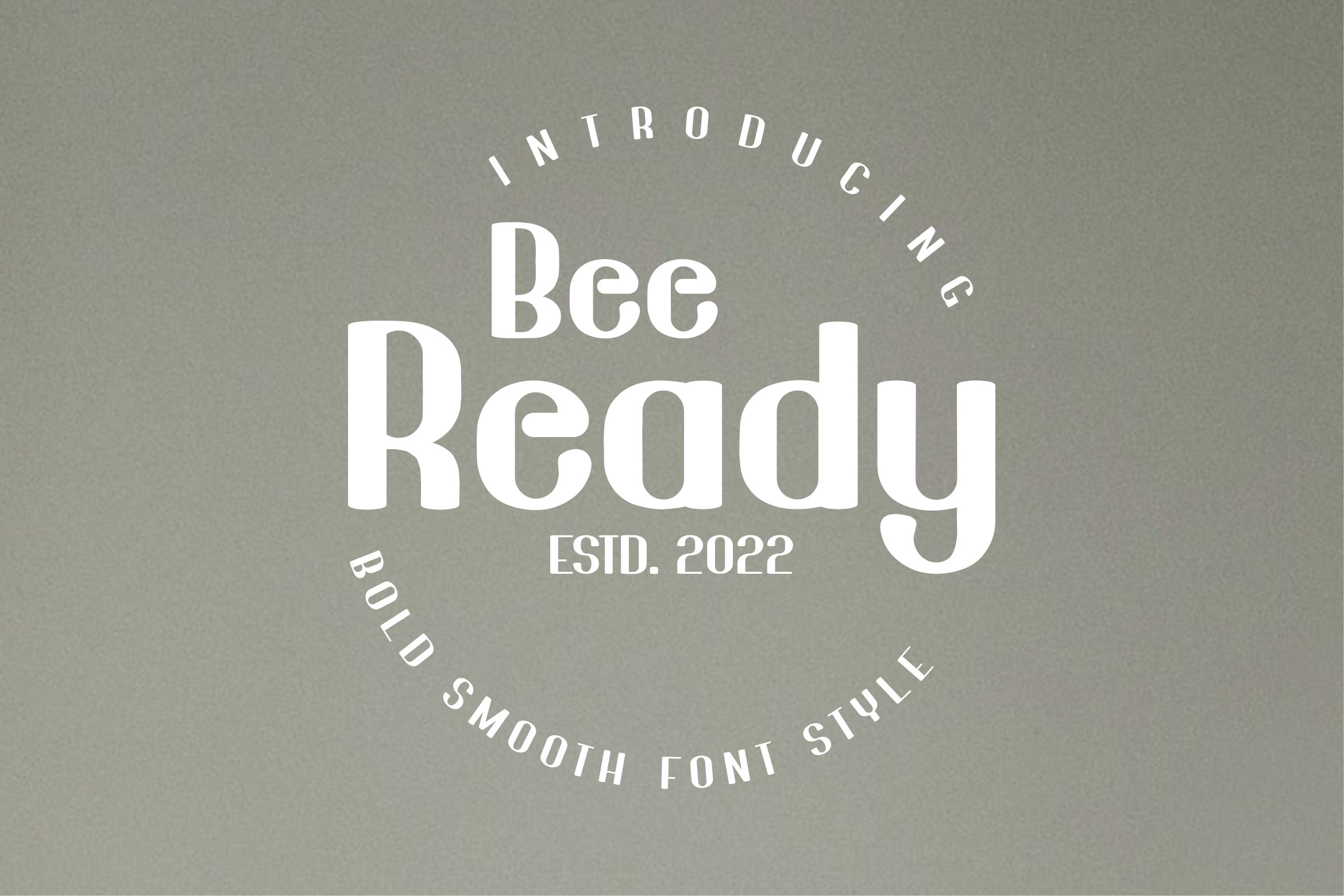 Bee Ready cover image.