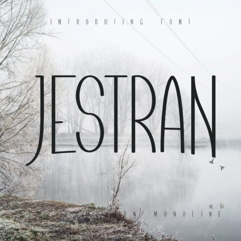 Jestran Font cover image.