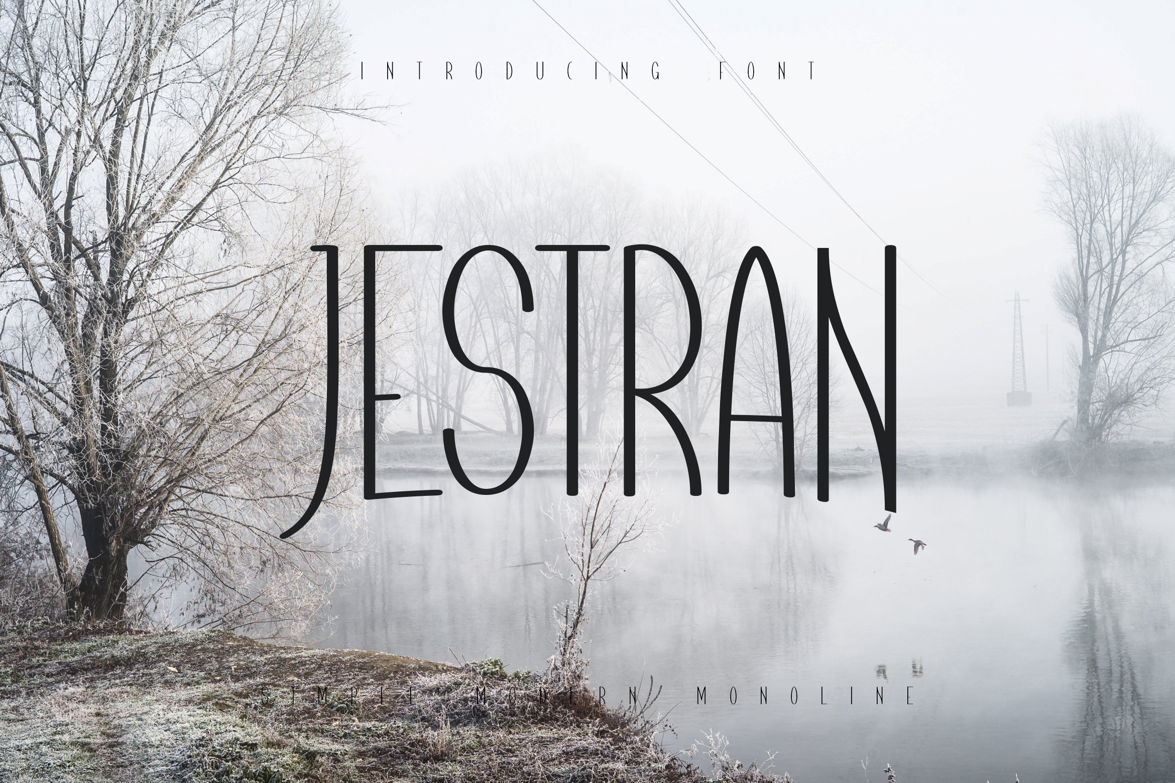 Jestran Font cover image.