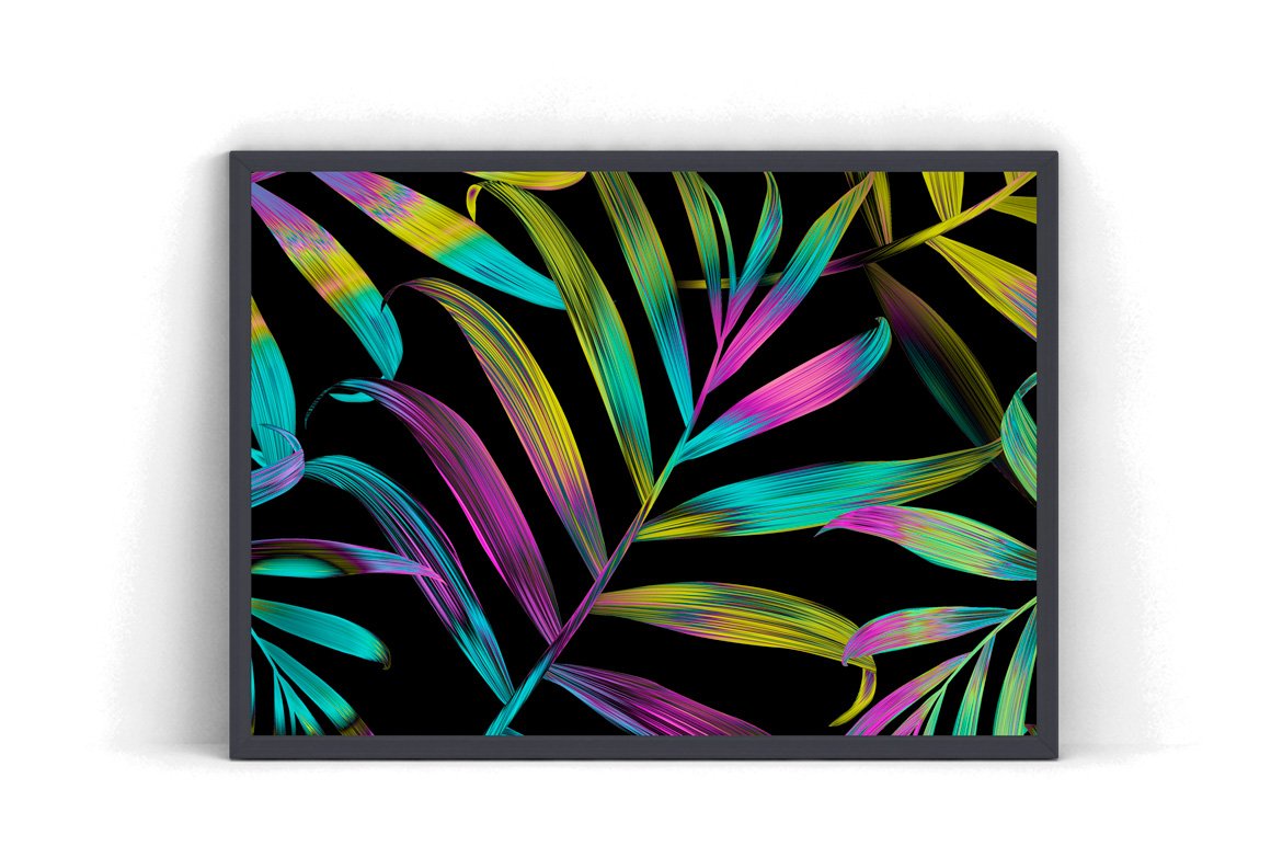 Black background with colorful feathers on it.