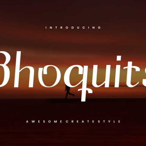 Bhoquits - Display Font cover image.