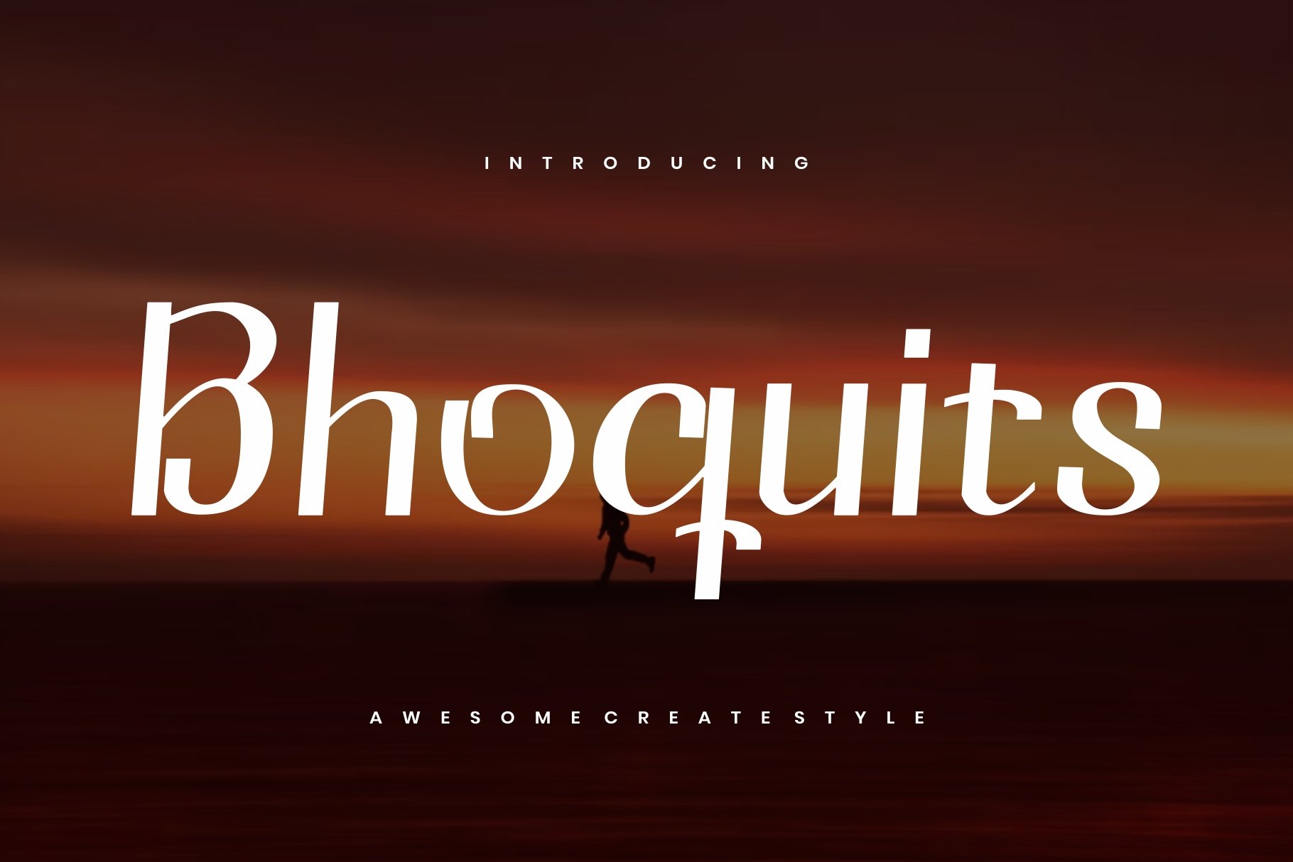 Bhoquits - Display Font cover image.