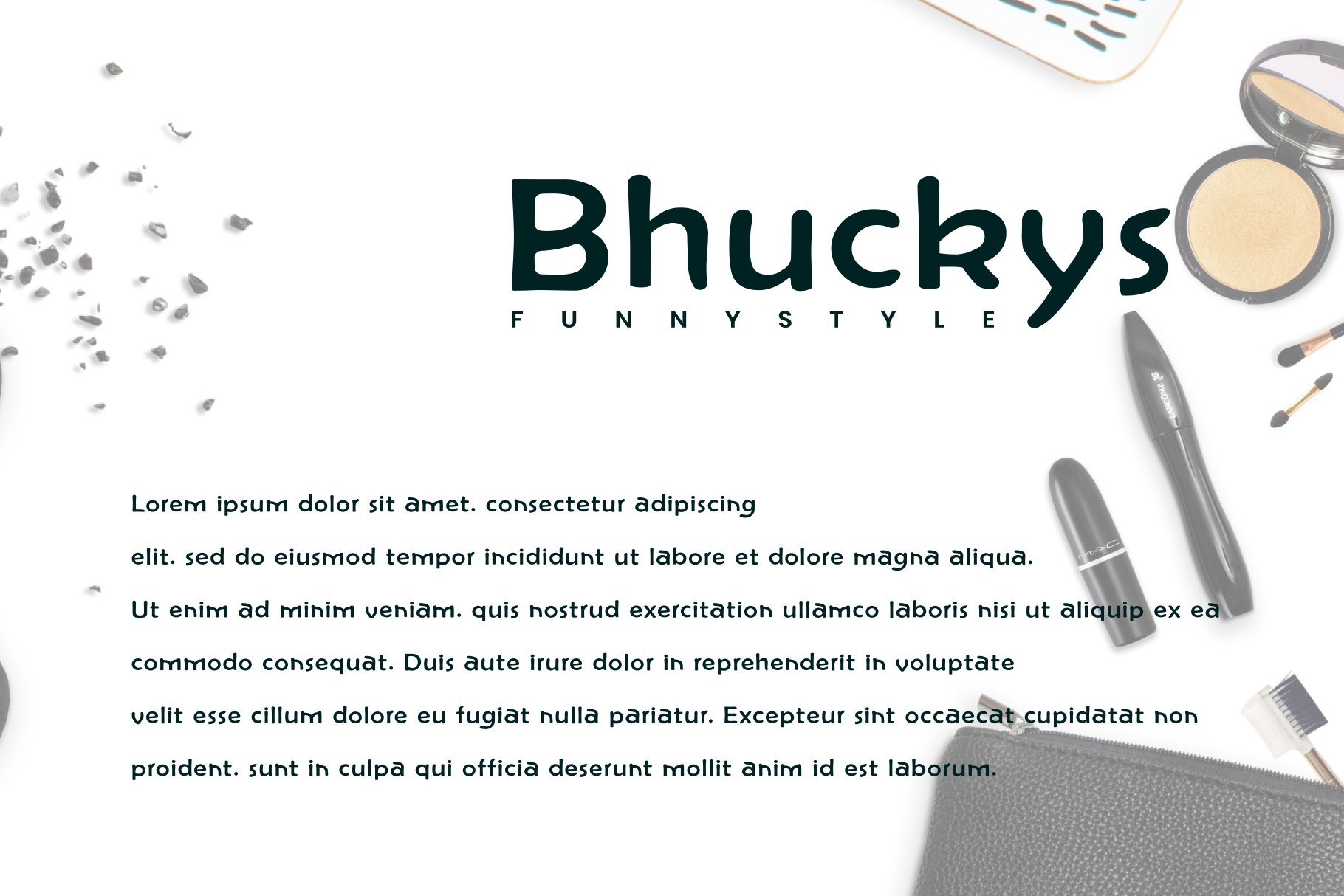 bhuckys 04 733