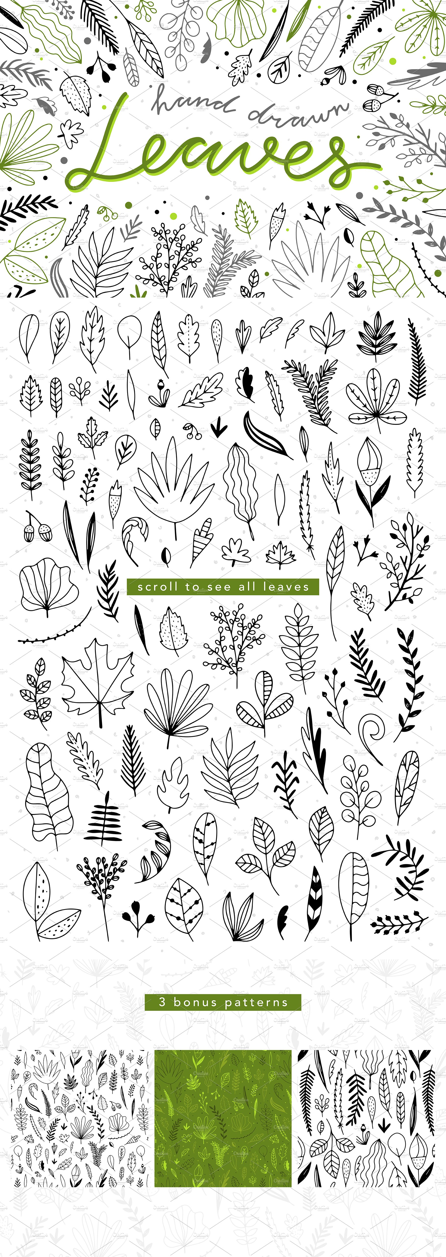 Large collection of hand drawn leaves and plants.