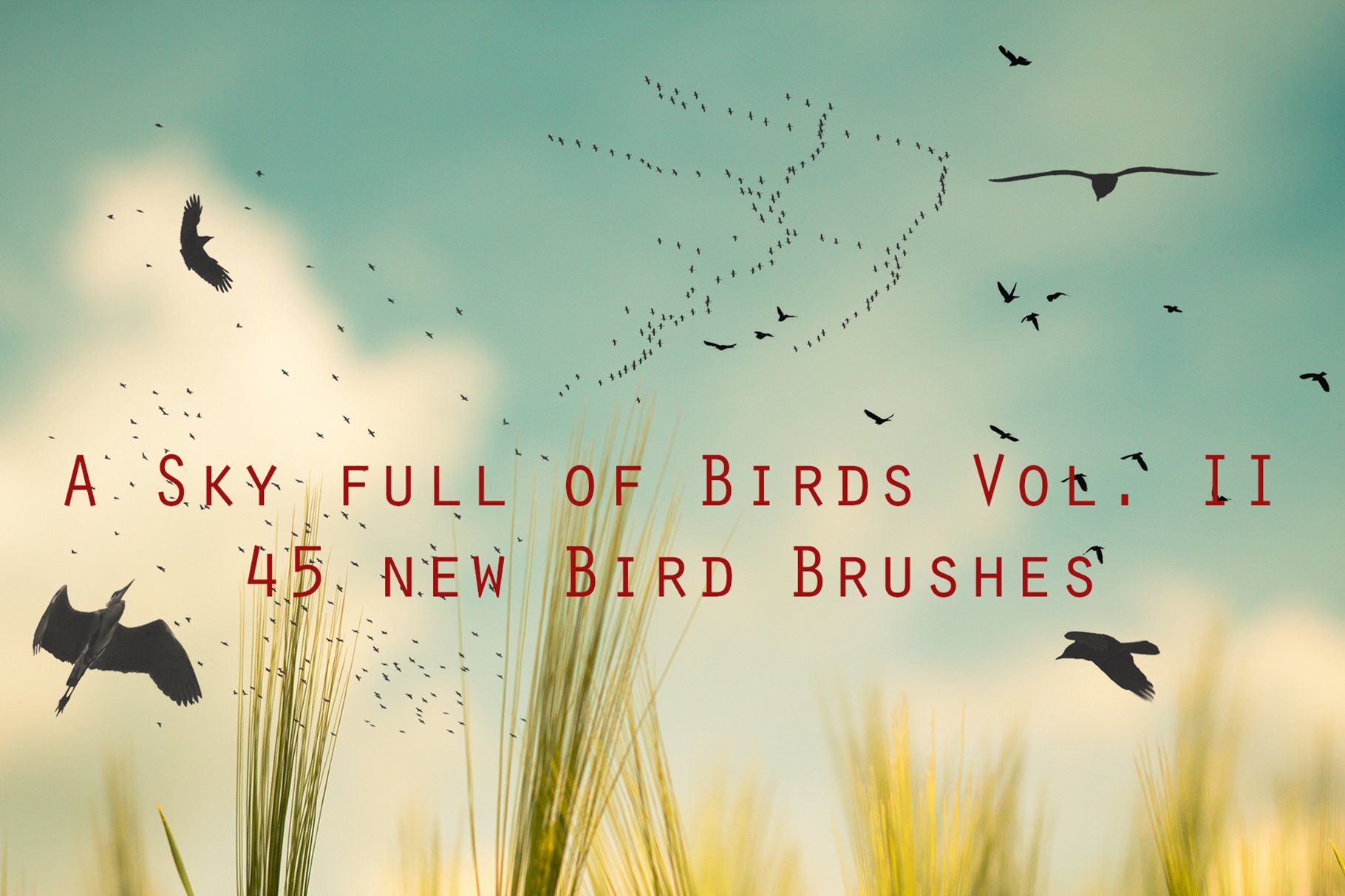 Bird Brushes Vol IIcover image.