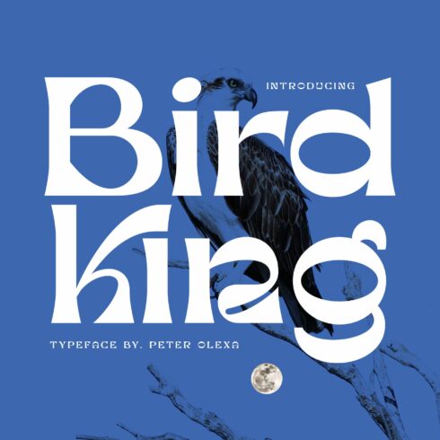 Bird King Retro Serif cover image.