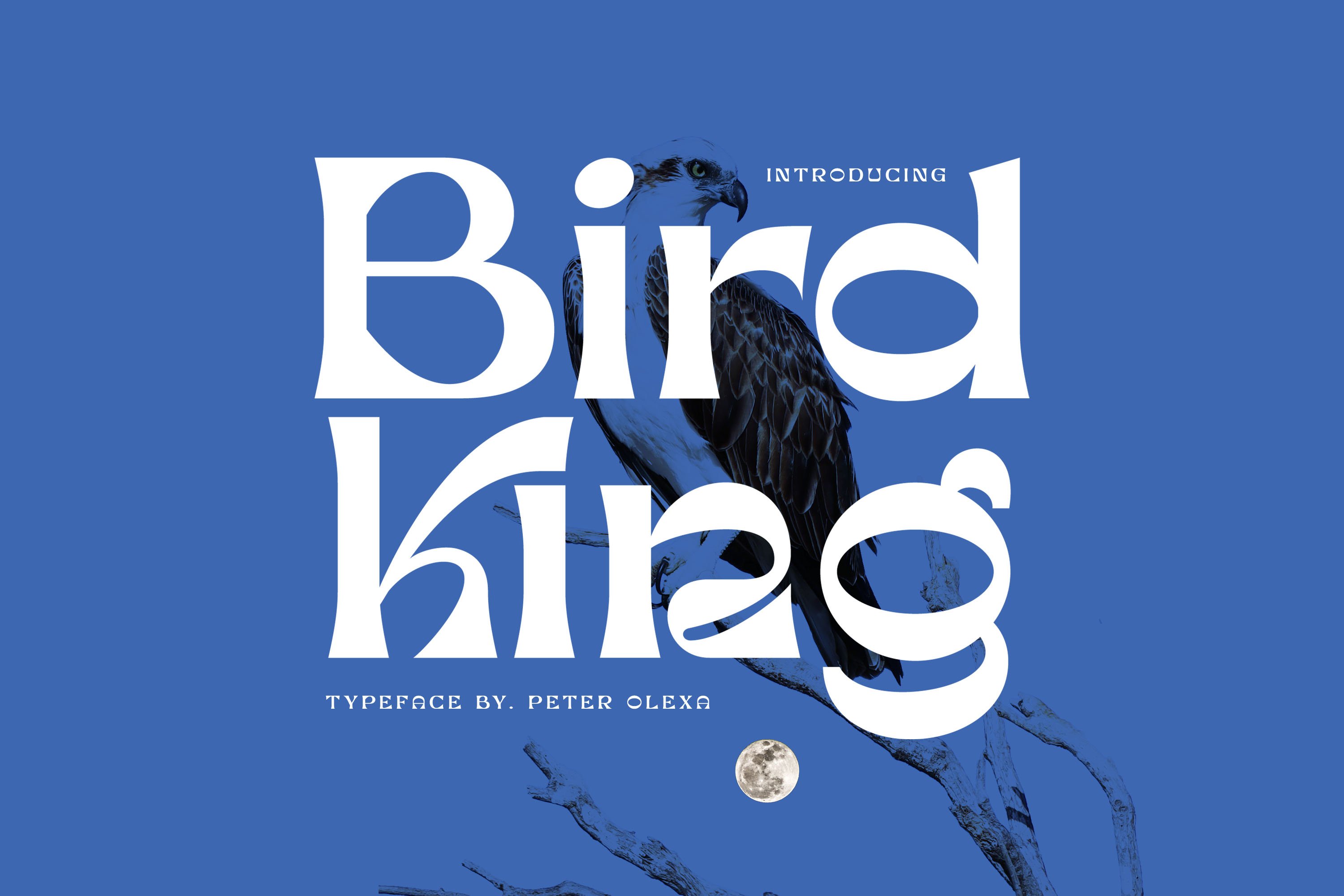 Bird King Retro Serif cover image.