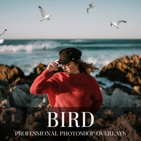 Bird Overlays Photoshopcover image.