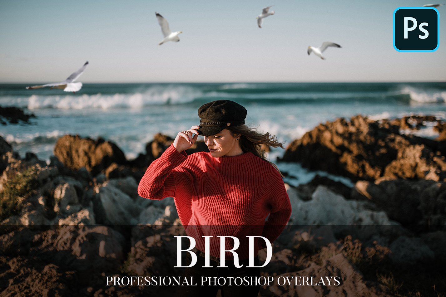 Bird Overlays Photoshopcover image.